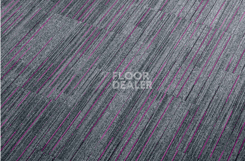 Ковровая плитка Milliken Light Trails dsk 05 Magenta фото 1 | FLOORDEALER
